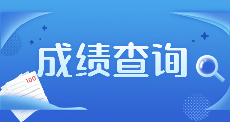陜西教師資格面試成績查詢時間